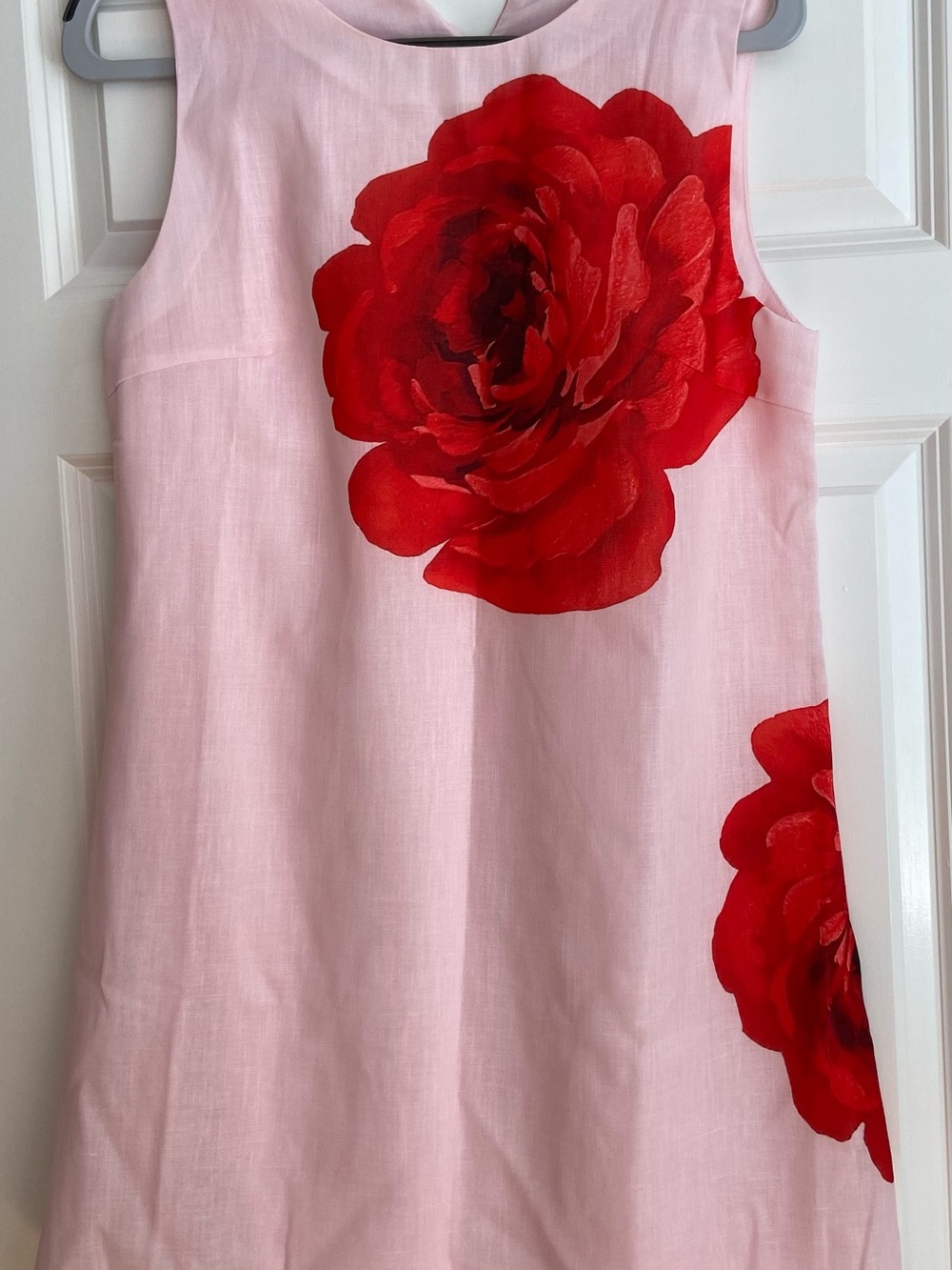 Pink Shift Dress with Bold Red Floral Print